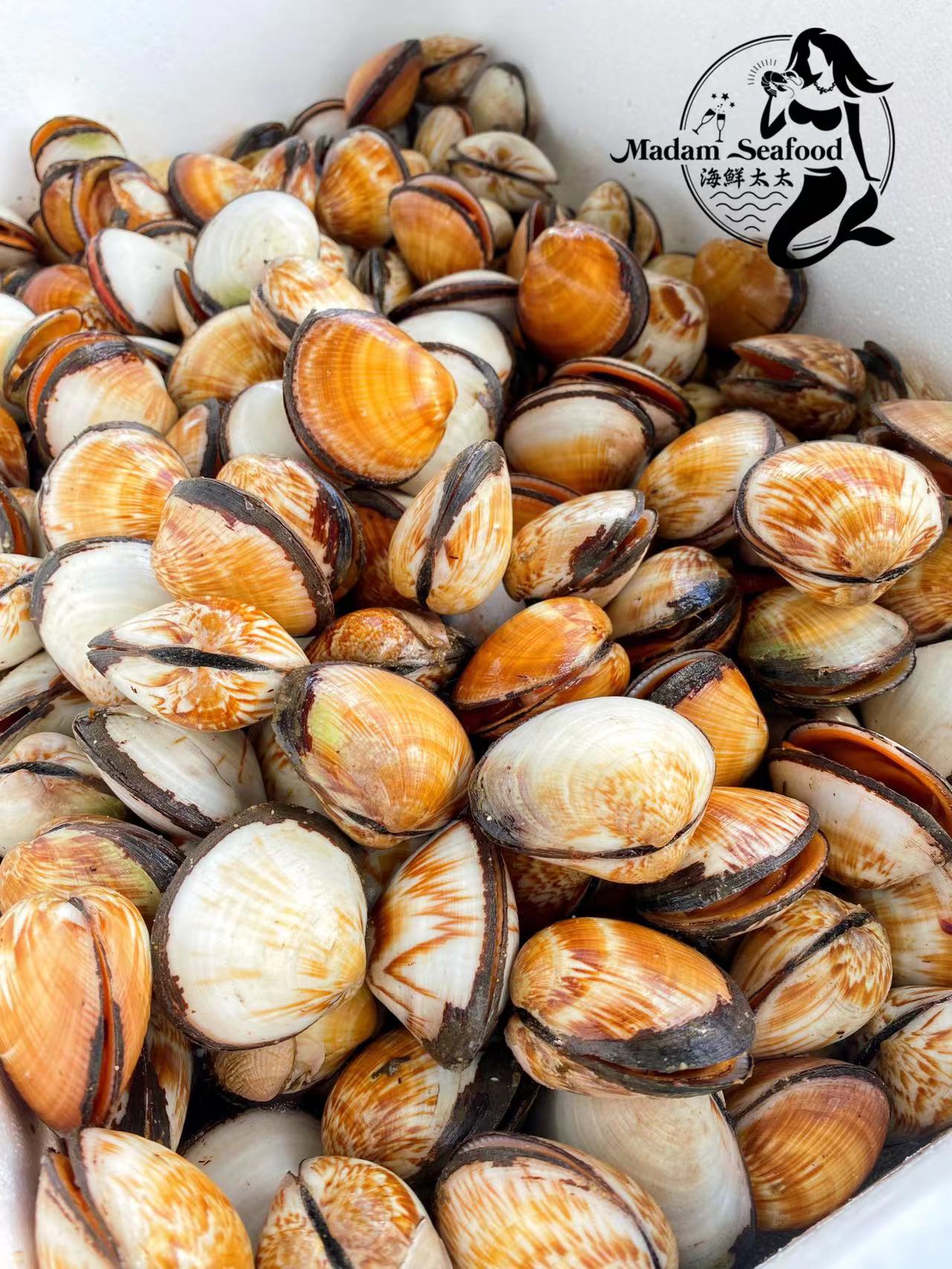 Live Flame Cockles