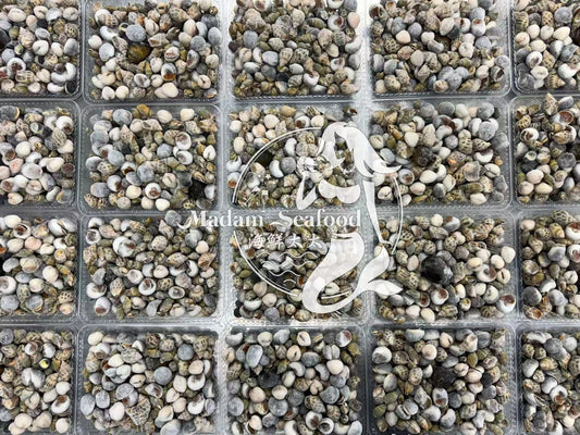 Mixed Sea Snails (Raw) (Frozen)