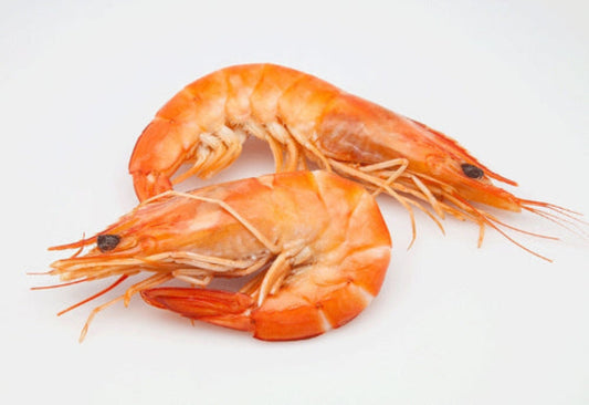 South Australian King Prawn X Large (cooked)
