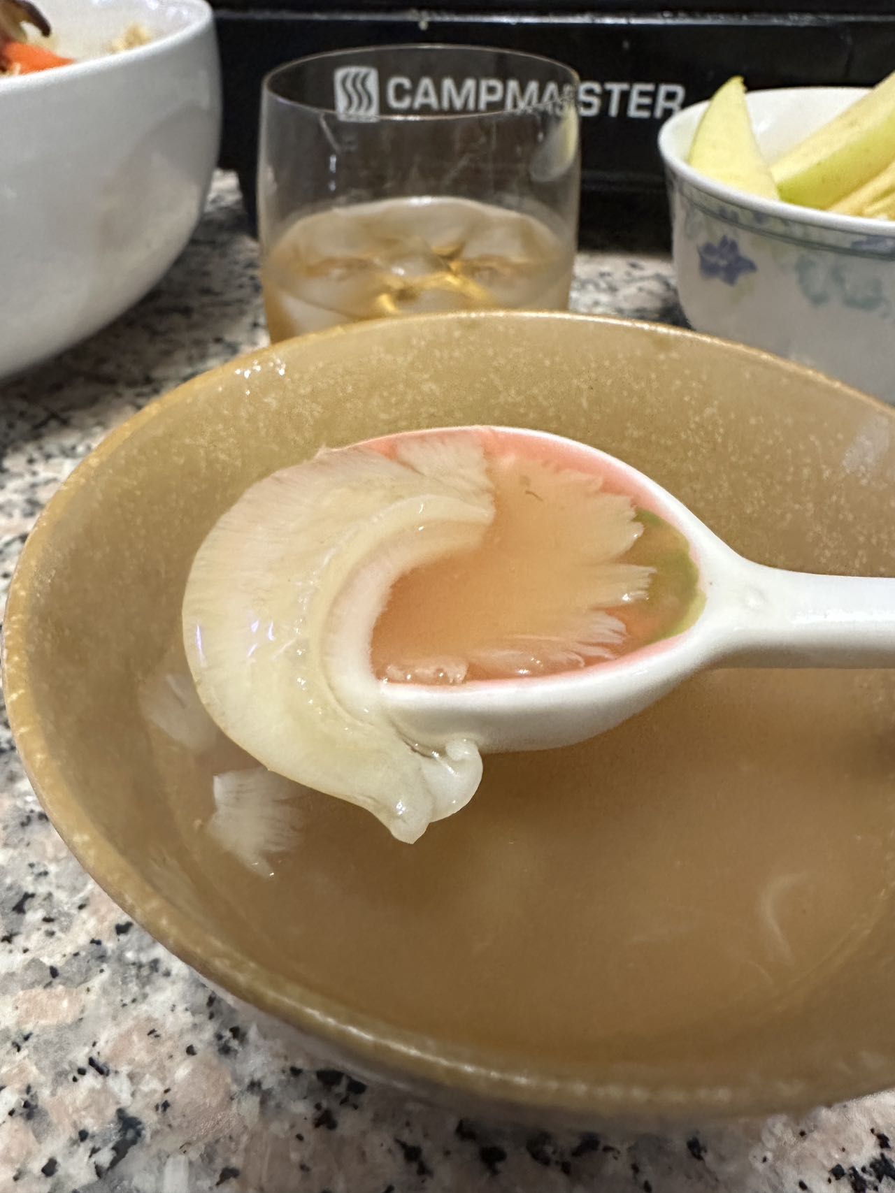 Aussie Shark Fin 澳洲本地鱼翅 (已泡发)