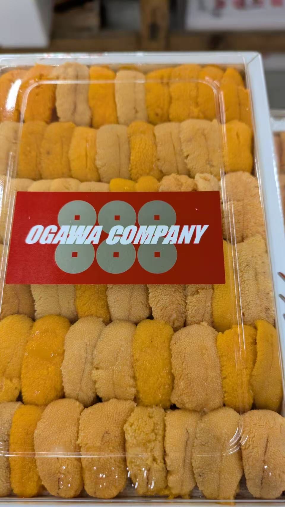 Japanese Premium Sea Urchin