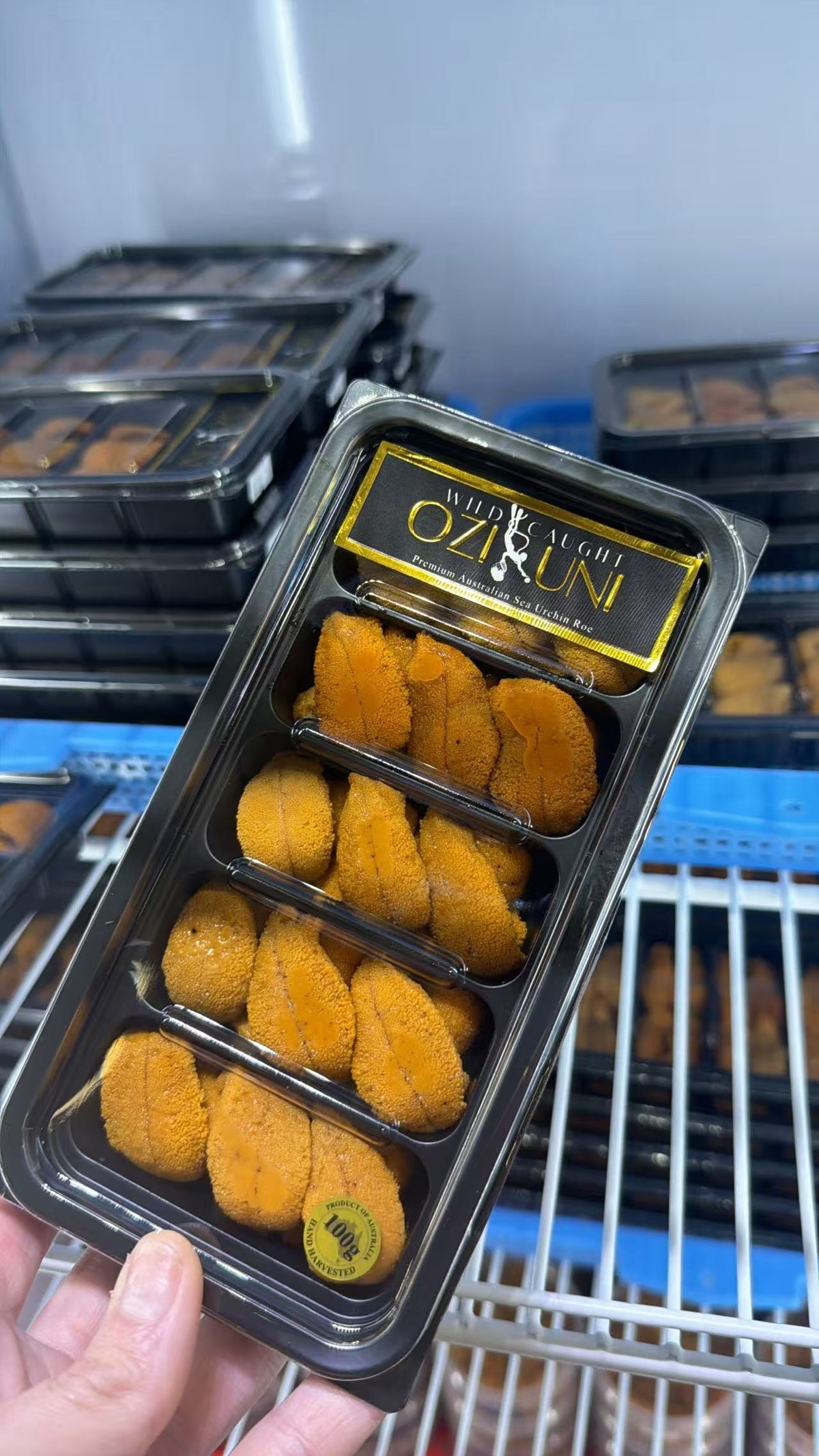 Port Phillip Bay Short Spine Sea Urchin Roe (Uni)