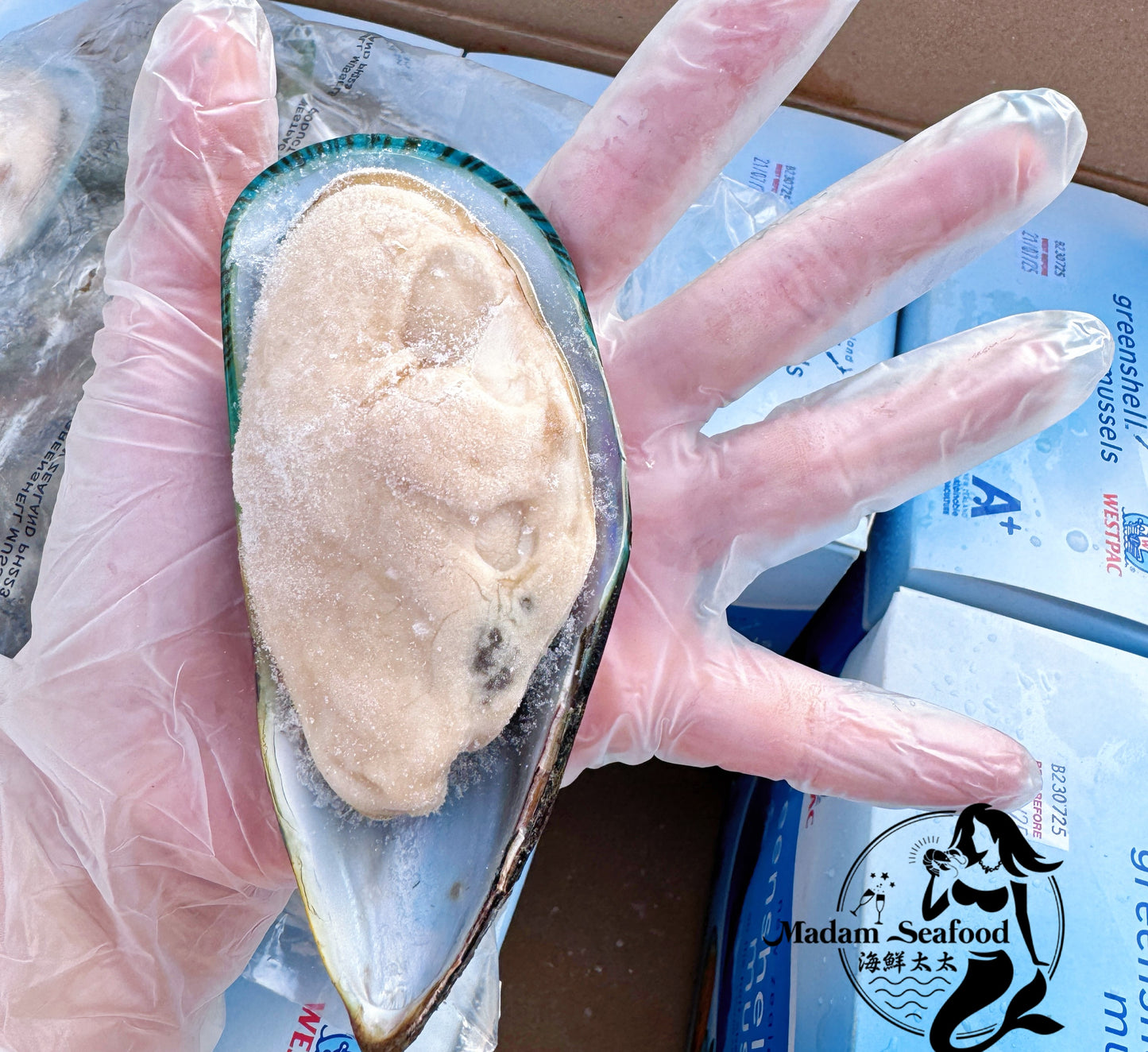 New Zealand Jumbo Green Mussel (frozen)