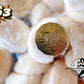 Hokkaido S3 Scallop (MEAT) (frozen)【SALE】