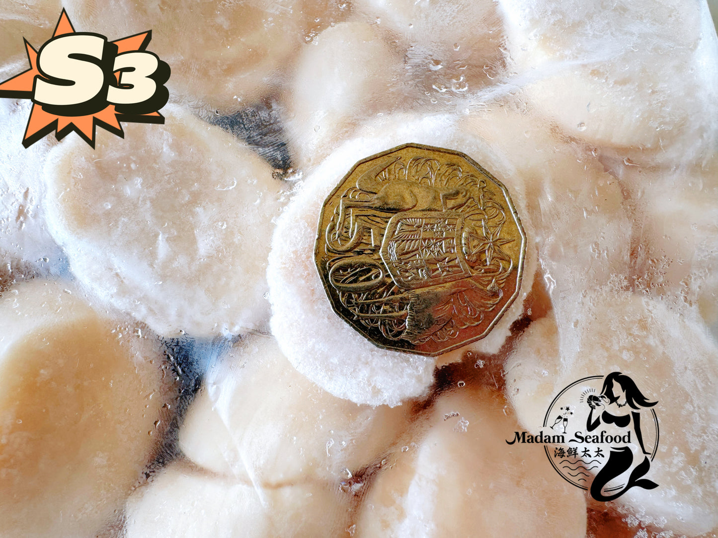 Hokkaido S3 Scallop (MEAT) (frozen)【SALE】