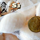 Hokkaido S3 Scallop (MEAT) (frozen)【SALE】