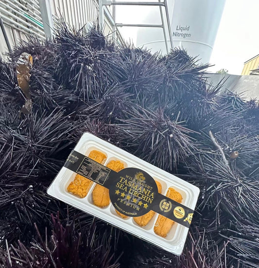 Sea Urchin Long Spine Roe 6A