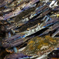 Fresh Local SA Blue Swimmer Crab