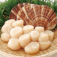 Hokkaido S3 Scallop (MEAT) (frozen)【SALE】