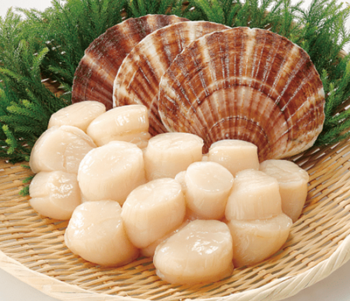 Hokkaido S3 Scallop (MEAT) (frozen)【SALE】