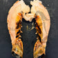 Brazilian Lobster Tail (Frozen)