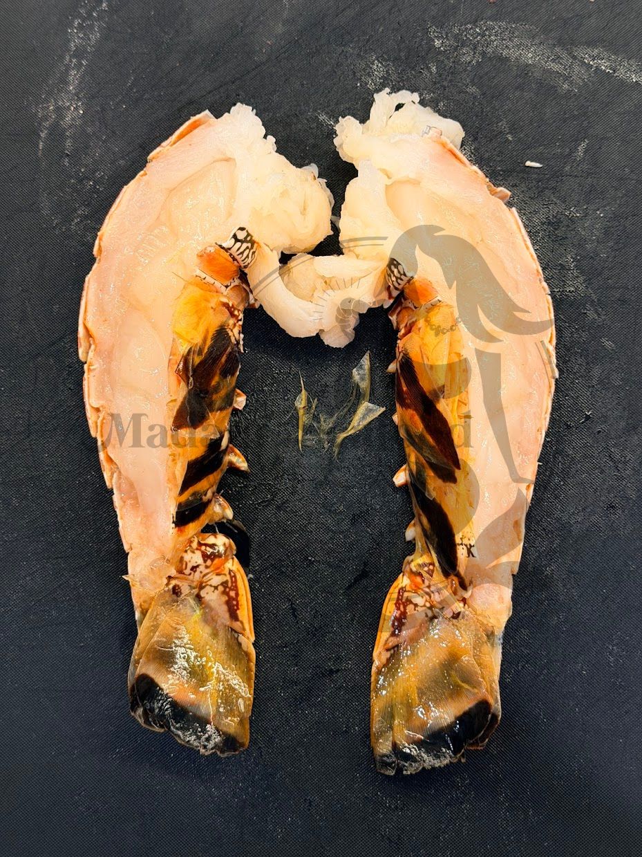 Brazilian Lobster Tail (Frozen)