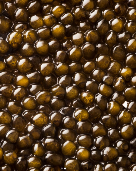 KAVIARI – Year of the Horse Sliding Case Crystal Caviar