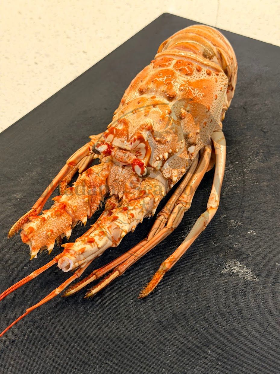 Whole Cooked Lobsters (Frozen)