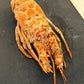 Whole Cooked Lobsters (Frozen)
