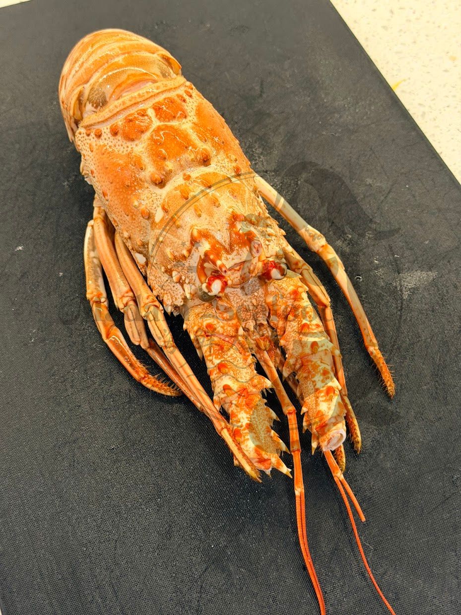 Whole Cooked Lobsters (Frozen)