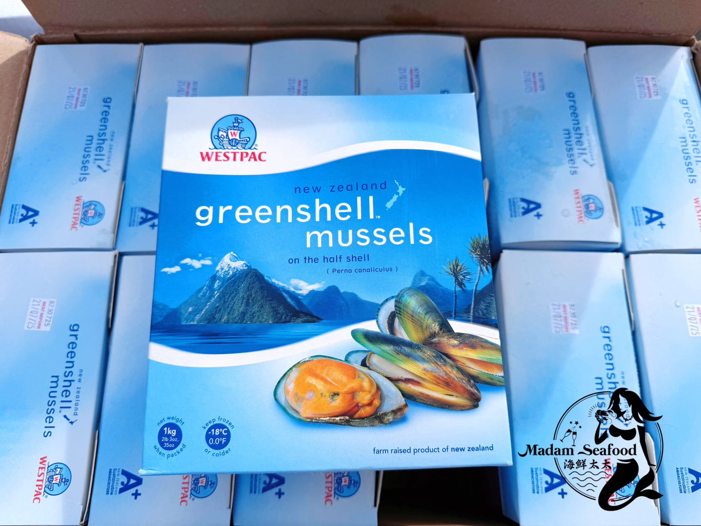 New Zealand Jumbo Green Mussel (frozen)