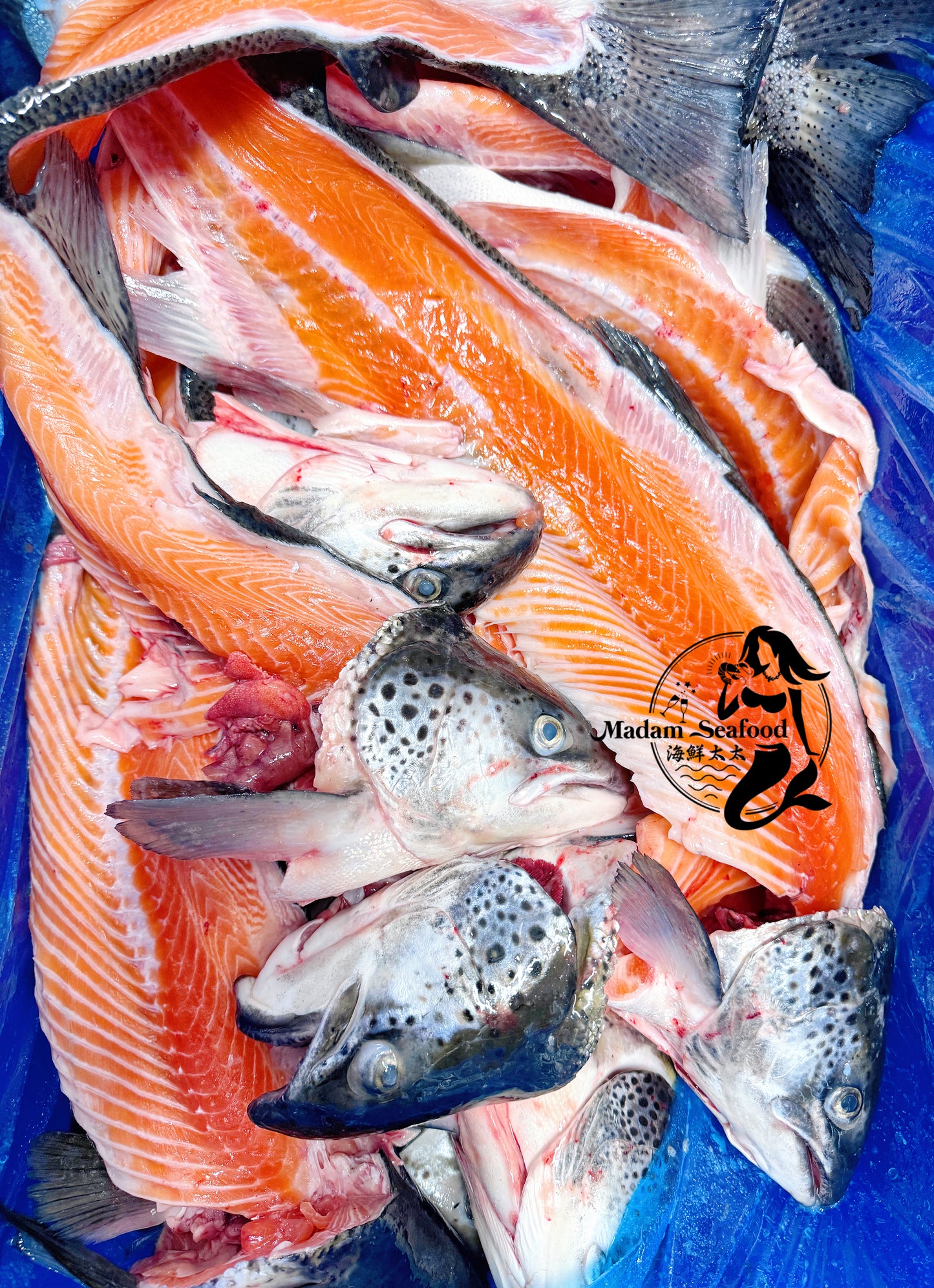 Fresh Atlantic Salmon off-cuts【MEGA SALE】