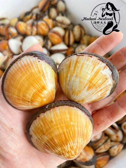 Live Flame Cockles