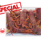Live Southern Rock Lobster【BIG SALE】