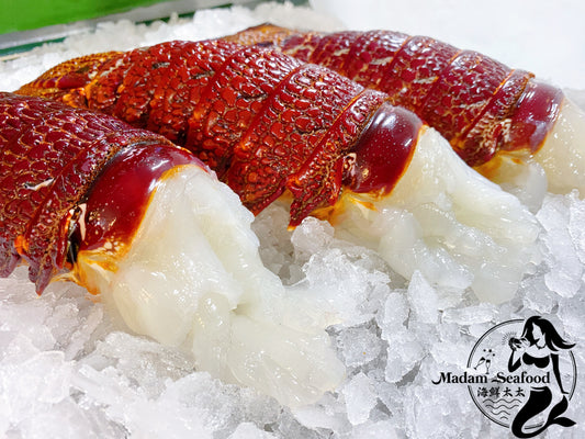 Southern Rock Lobster Tail (Frozen)