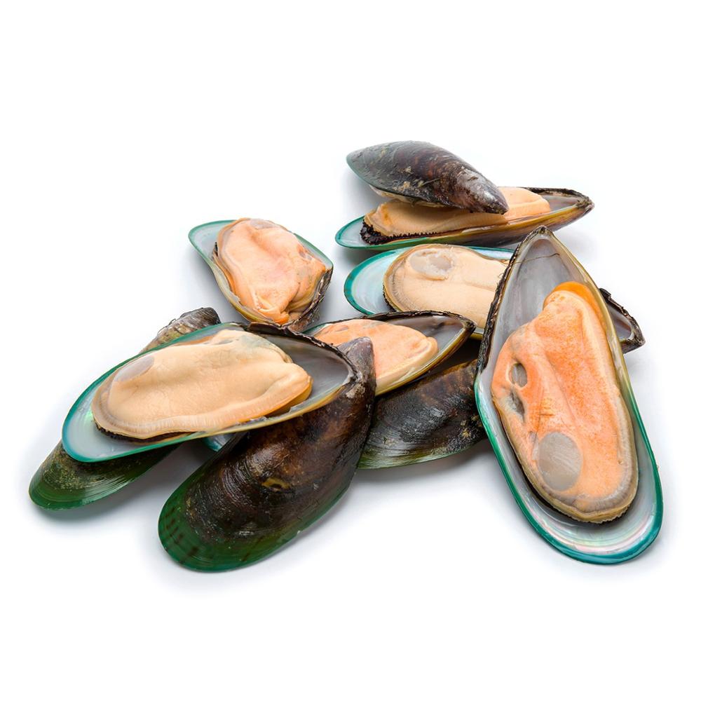 New Zealand Green Mussel (frozen)