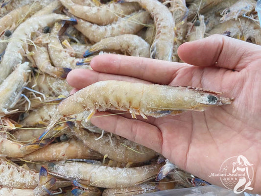 Queensland King Prawn (Raw) (Frozen)